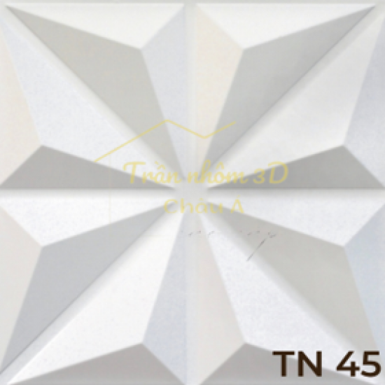 Trần Nhôm TN45